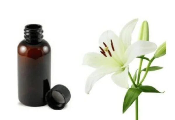 Lily Oil